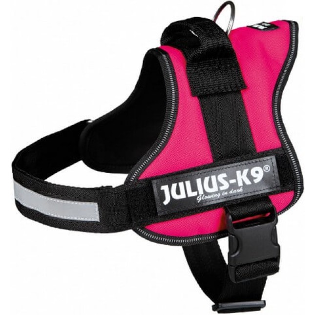 Julius-K9 σαμάρι 3/xl 82-115cm/50mm φούξια Julius-K9 σαμάρι 3/xl 82-115cm/50mm φούξια