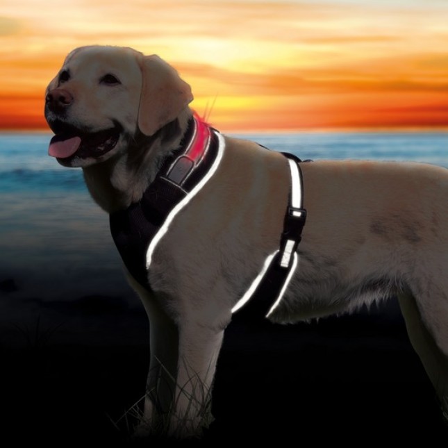 Trixie σαμαράκι φωτιζόμενο xs-s 40-50cm Trixie σαμαράκι φωτιζόμενο xs-s 40-50cm