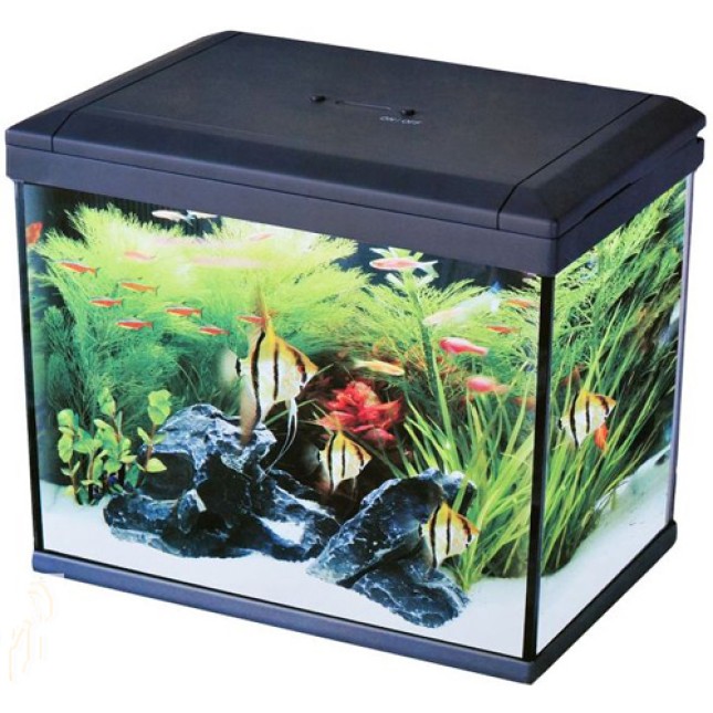 RESUN ΕΝΥΔΡΕΙΟ LT CUBE 60L 60x30x35 RESUN ΕΝΥΔΡΕΙΟ LT CUBE 60L 60x30x35