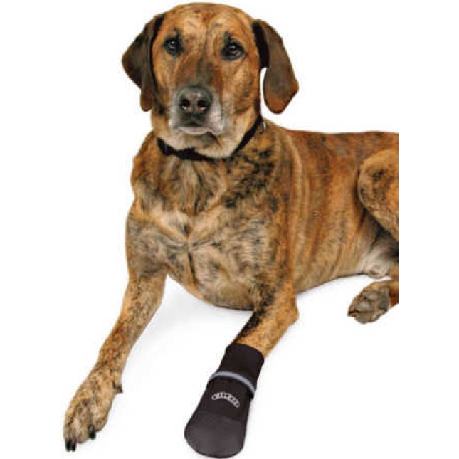 Trixie κάλτσες σκύλων από ανθεκτικό πολυεστέρα για την ταχεία επούλωση τραυματισμών χωρίς μολύνσεις