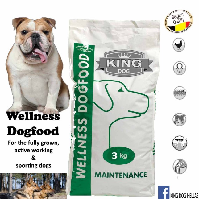 king dog συντήρησης ενήλικων σκύλων king dog συντήρησης ενήλικων σκύλων