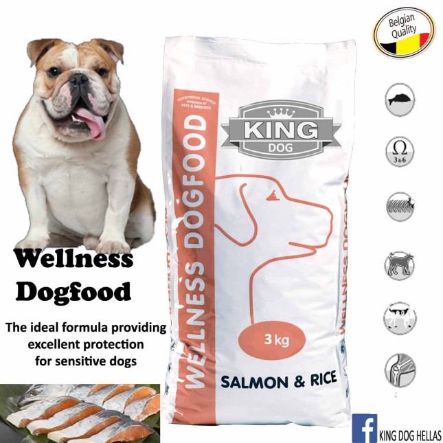 king dog σολομός & ρύζι 3Kg
