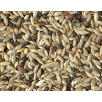 Κing canary stantard με ρούπσεν 1kg χύμα Κing canary stantard με ρούπσεν 1kg χύμα