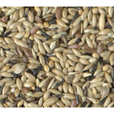 Κing stantard χωρίς ρουπσεν 1kg (χύμα)