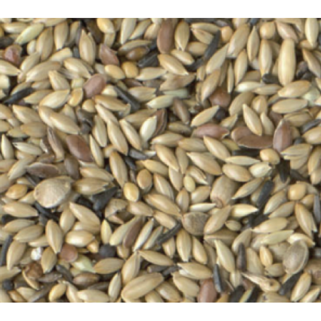 Κing stantard χωρίς ρουπσεν 1kg (χύμα) Κing stantard χωρίς ρουπσεν 1kg (χύμα)