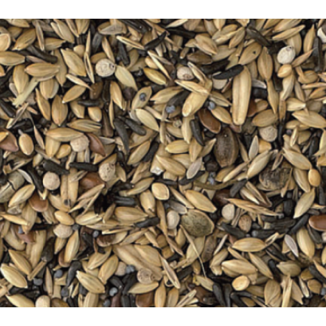 Κing breeding no rapeseed luxury 1kg χύμα