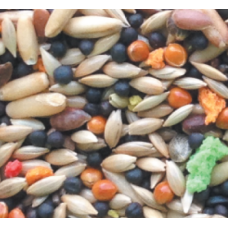 king canary basic 1kg χύμα king canary basic 1kg χύμα
