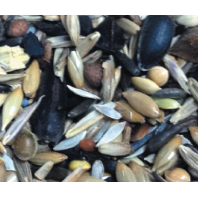 king major basic new 1kg χύμα king major basic new 1kg χύμα