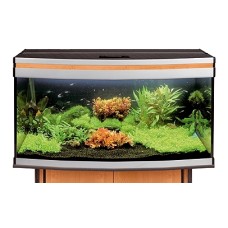 ΕΝΥΔΡΕΙΟ AQUAEL MELODY 240L