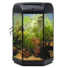 ΕΝΥΔΡΕΙΟ AQUAEL ΕΞΑΓΩΝΟ 28x32x30 30L ΕΝΥΔΡΕΙΟ AQUAEL ΕΞΑΓΩΝΟ 28x32x30 30L