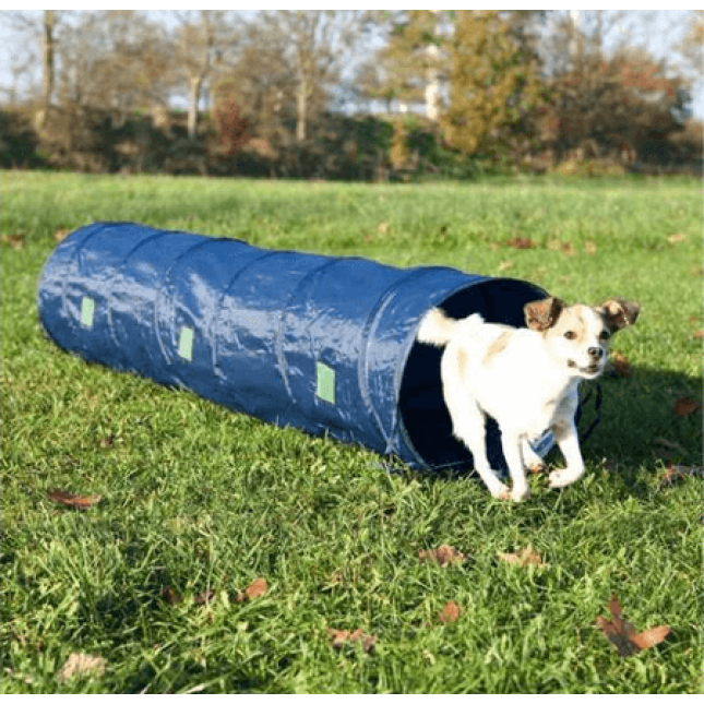 Trixie agility τούνελ μπλε κατασκευασμένο από ανθεκτικό πολυεστέρα 40cm/2m