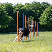 Trixie agility στύλος slalom από πλαστικό  2 χρώματα