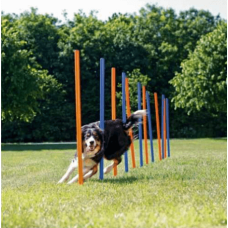 Trixie agility στύλος slalom από πλαστικό  2 χρώματα