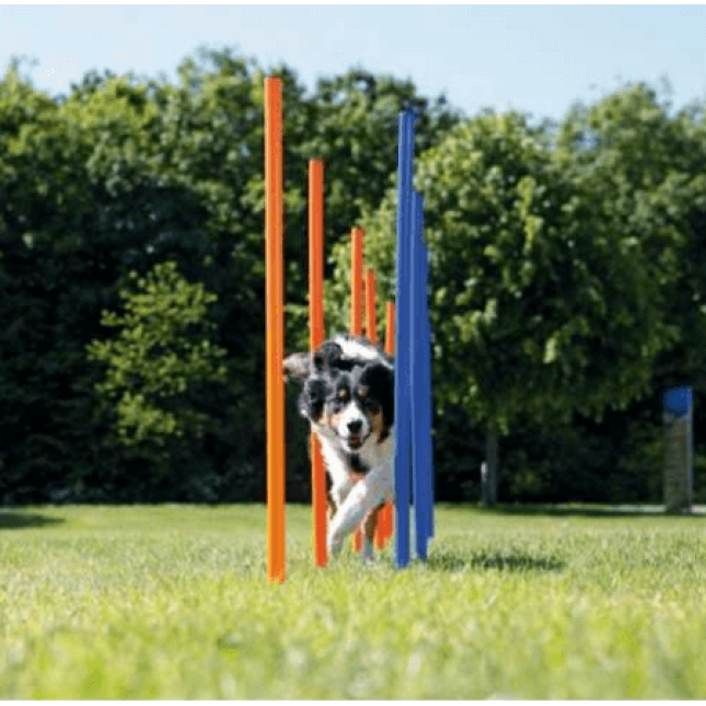 Trixie agility στύλος slalom από πλαστικό  2 χρώματα