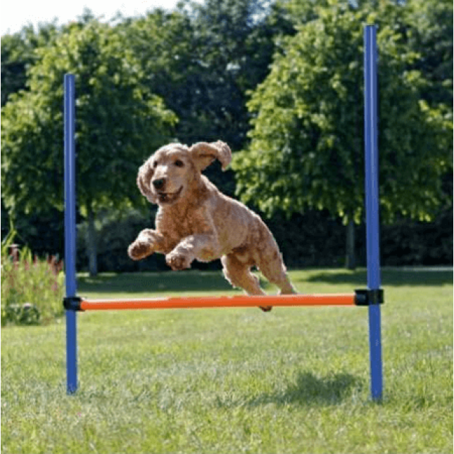 Trixie agility εμπόδιο από πλαστικό υλικό 129x115cm Trixie agility εμπόδιο από πλαστικό υλικό 129x115cm
