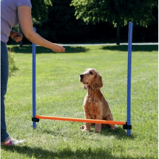 Trixie agility εμπόδιο από πλαστικό υλικό 129x115cm