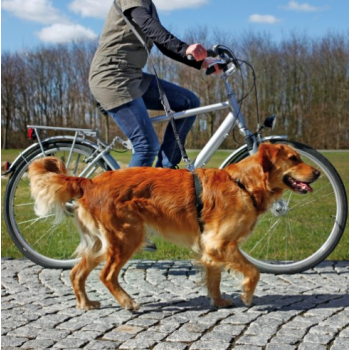 Trixie οδηγός ποδηλάτου & jogging 1.0-2.0m/25mm Trixie οδηγός ποδηλάτου & jogging 1.0-2.0m/25mm