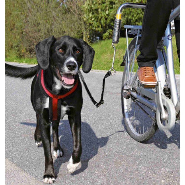 Trixie βάση για μεγάλα σκυλιά για ασφαλή βόλτα με ποδήλατο