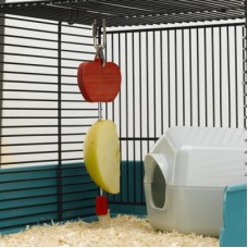 ferplast καρφίτσα για φρούτα 4,5x1x20cm ferplast καρφίτσα για φρούτα 4,5x1x20cm