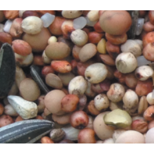 Naturline περιστεροτροφή jumbo Naturline περιστεροτροφή jumbo