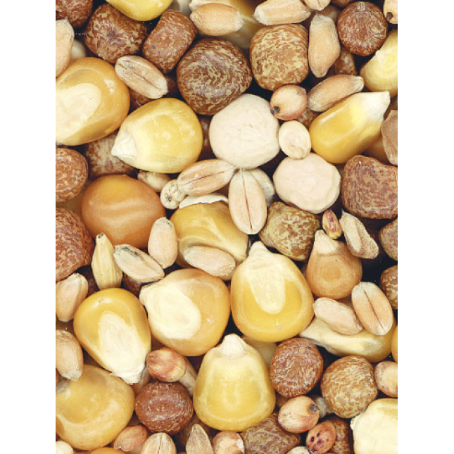 natural-granen 4 εποχών περιστεροτροφή 25kg natural-granen 4 εποχών περιστεροτροφή 25kg