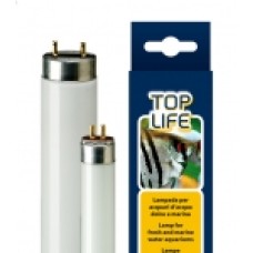 ferplast λάμπα νέον toplife lamp t8