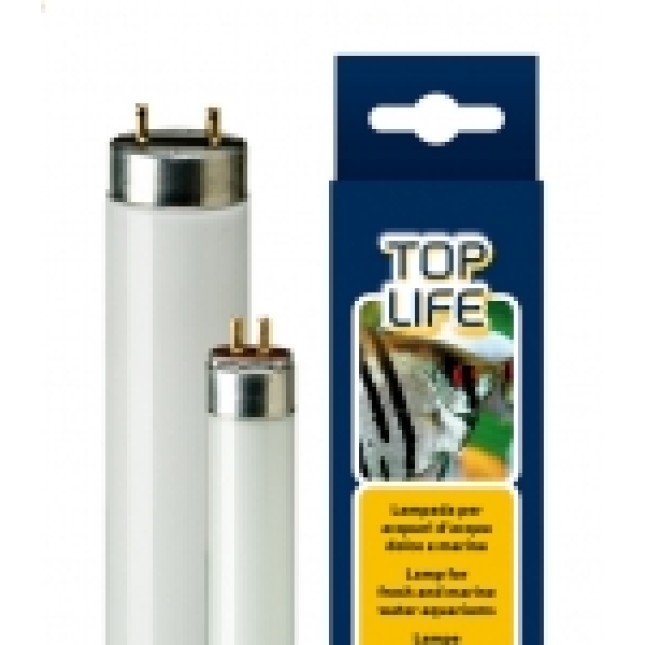 ferplast λάμπα νέον toplife lamp t8