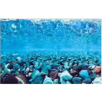 Ferplast αφίσα φόντο ενυδρείου blu 9041 & 9047 Ferplast αφίσα φόντο ενυδρείου blu 9041 & 9047