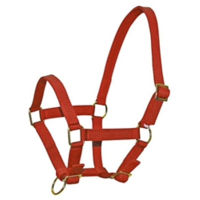 No 2 ΚΑΠΙΣΤΡΙ ΑΛΟΓΩΝ EXCLUSIVE NYLON No 2 ΚΑΠΙΣΤΡΙ ΑΛΟΓΩΝ EXCLUSIVE NYLON