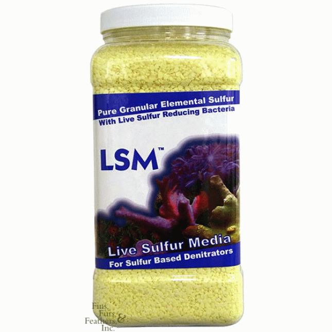 CARIB SEA LSM CARIB SEA LSM