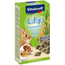 Vitakraft κροκέτες με βρώμη για τρωκτικά 100gr Vitakraft κροκέτες με βρώμη για τρωκτικά 100gr