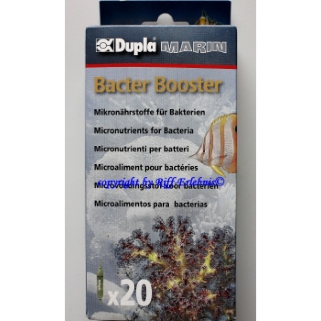 DUPLA BACTER BOOSTER