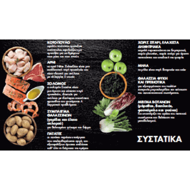 Profine junior large κοτόπουλο & πατάτα Profine junior large κοτόπουλο & πατάτα