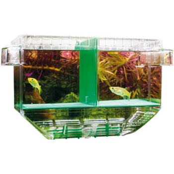 Hobby Nido 1, Πλωτός εκτροφέας 19.5x11x19 cm Hobby Nido 1, Πλωτός εκτροφέας 19.5x11x19 cm