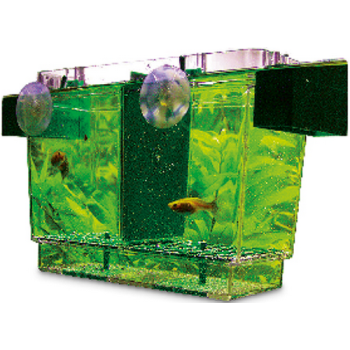 Hobby Nido II, Floating breeder διπλός πλωτός εκτροφέας 21x16x14 Hobby Nido II, Floating breeder διπλός πλωτός εκτροφέας 21x16x14