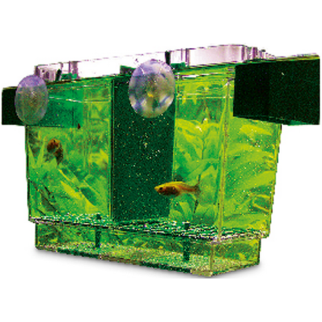 Hobby Nido II, Floating breeder διπλός πλωτός εκτροφέας 21x16x14 Hobby Nido II, Floating breeder διπλός πλωτός εκτροφέας 21x16x14