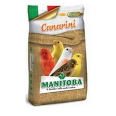 Manitoba Canarini κελαϊδίνη T1