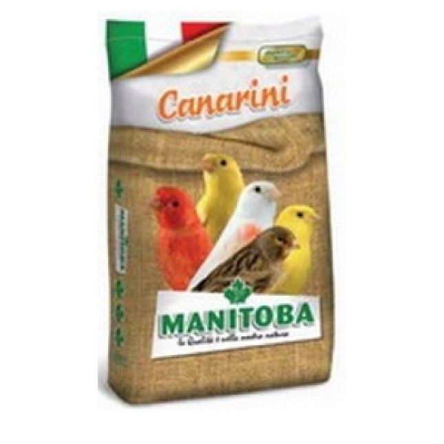 Manitoba Canarini κελαϊδίνη T1 Manitoba Canarini κελαϊδίνη T1