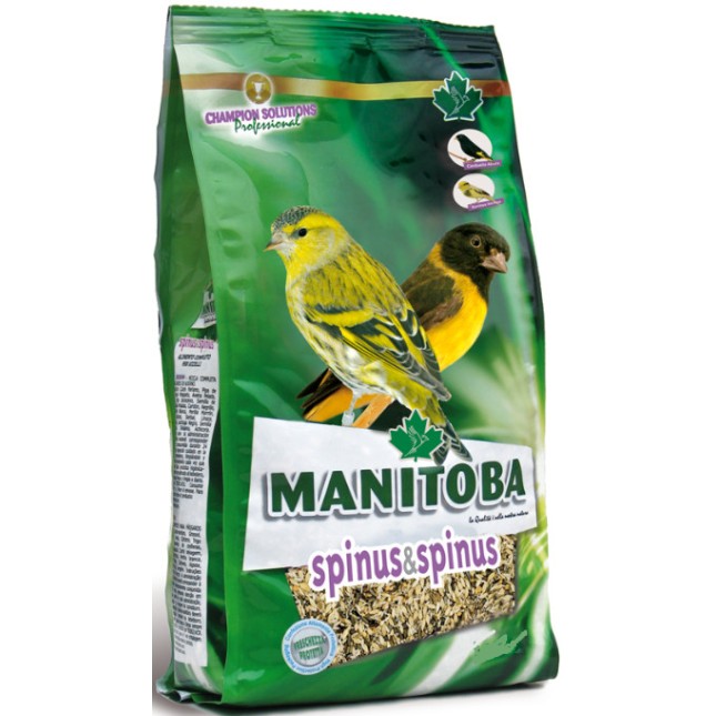 Manitoba Spinus μείγμα σπόρων για σπίνους
