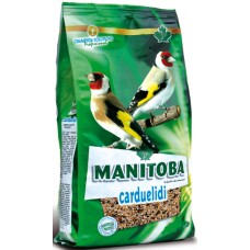 Manitoba Carduelidi για καρδερίνες