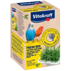 Vitakraft bio box-σύστημα παραγωγής πράσινου 40gr
