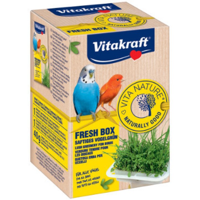 Vitakraft bio box-σύστημα παραγωγής πράσινου 40gr