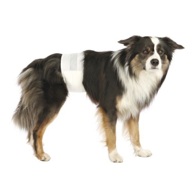 Trixie πάνες (Diapers) για αρσενικούς σκύλους m/l 46-60cm 12τμχ Trixie πάνες (Diapers) για αρσενικούς σκύλους m/l 46-60cm 12τμχ