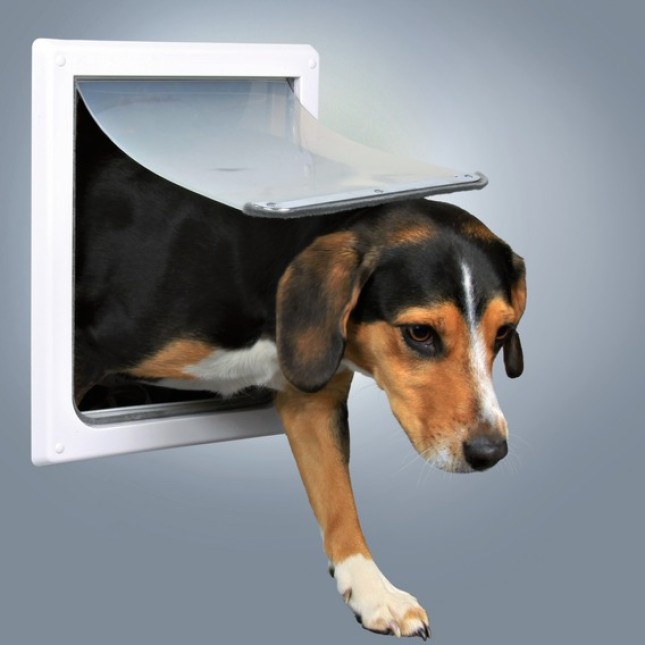 Trixie πόρτα σκύλων 2-way s-m 30x36cm άσπρη και επιμήκυνση Trixie πόρτα σκύλων 2-way s-m 30x36cm άσπρη και επιμήκυνση