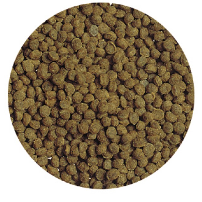 TETRA GOLDFISH GRANULES