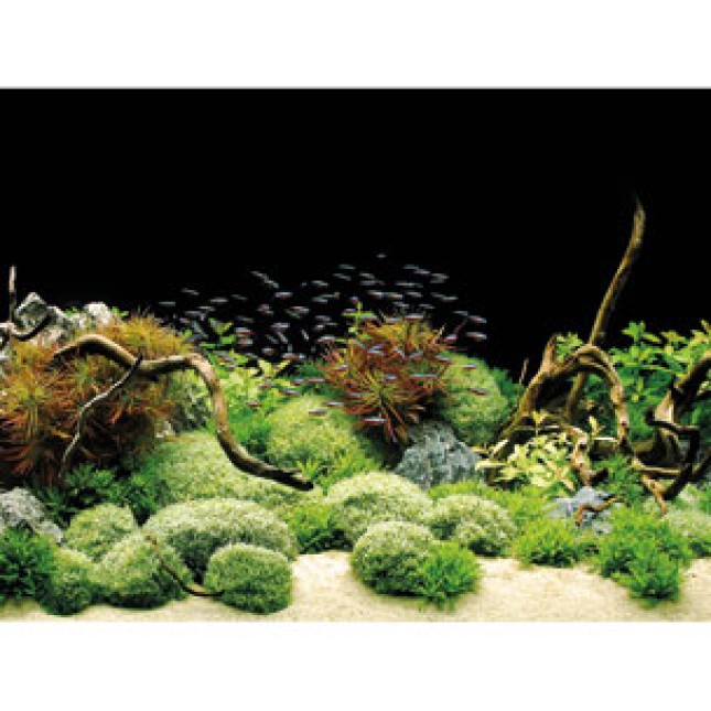 TETRA DECO ART POSTER ROCKS & PLANT TETRA DECO ART POSTER ROCKS & PLANT