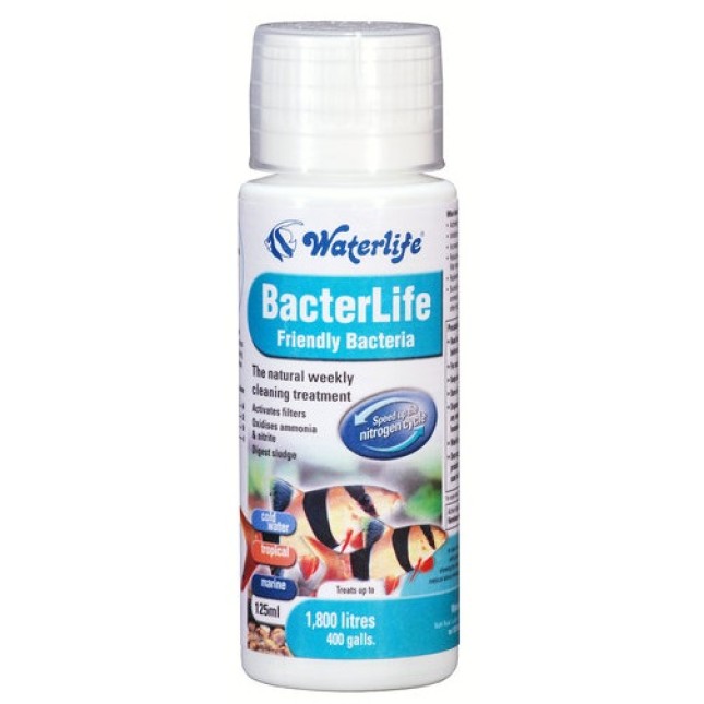 Waterlife bacterlife