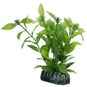 Hobby Hygrophila Τεχνητό φυτό ενυδρείου, φυσικό και αυθεντικό αποτέλεσμα Hobby Hygrophila Τεχνητό φυτό ενυδρείου, φυσικό και αυθεντικό αποτέλεσμα