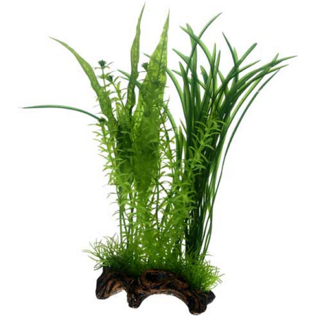 Hobby Διακοσμητικό τεχνητό φυτό Flora Root 1 ζωντανό αντίγραφο Hobby Διακοσμητικό τεχνητό φυτό Flora Root 1 ζωντανό αντίγραφο