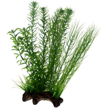 Hobby Διακοσμητικό τεχνητό φυτό Flora Root 2 ζωντανό αντίγραφο Hobby Διακοσμητικό τεχνητό φυτό Flora Root 2 ζωντανό αντίγραφο